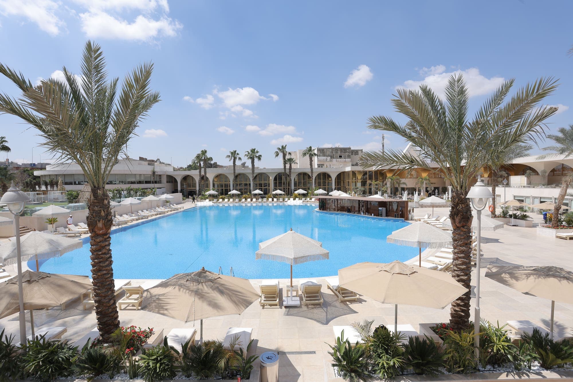 The resort pool seen between two palms, with the guest wings beyond